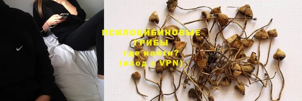 дурь Абаза